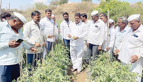 संगमनेर : सरकारकडून शेतकर्यांना मदत मिळवून देऊ : खा. सदाशिव लोखंडे