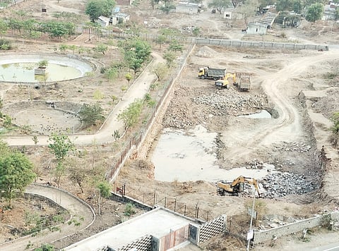 पिंपरी : मेट्रो पार्कमधील 185 झाडांचा जाणार बळी