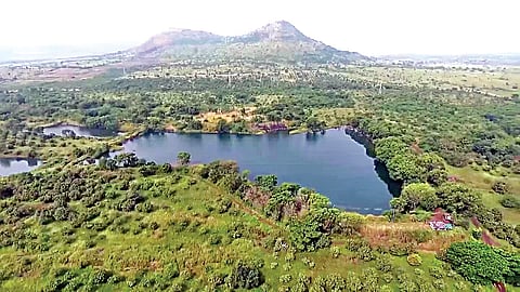 नाशिक : पांझरपोळचा तिढा; उद्योजकांचा पुन्हा लढा