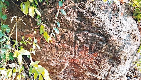 देवगड : साळशी येथे सापडले उभ्या दगडावरील कातळशिल्प