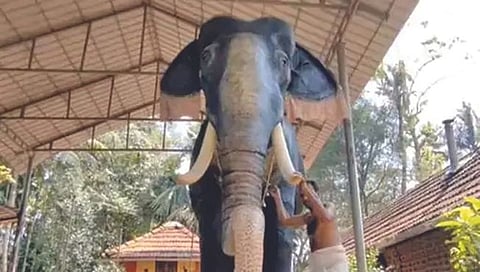 मंदिरात दान केला रोबोटिक हत्ती!