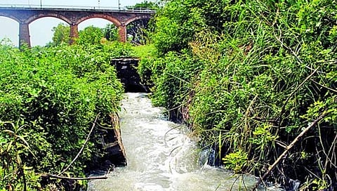 सांगली : शेरीनाला सांडपाणी प्रक्रियेसाठी ६२ कोटी