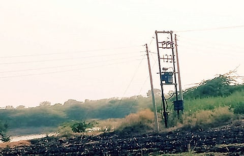 सिद्धटेक : शेतीला आठवड्यातून 4 दिवस वीज; दोन्ही आमदारांना लक्ष देण्याची हाक