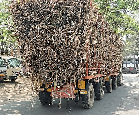 ऊस वाहतूक