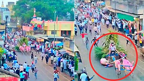 Bullock cart accident : वायफळे उरुसात मानाच्या बैलगाडीला अपघात; बैल फरफटत गेला