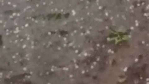 छत्रपती संभाजीनगर: अजिंठा परिसरात गारपिटीने रब्बी पिकांचे नुकसान