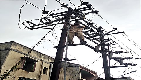 नाशिक : वीज वाहिन्यांची दुरुस्ती करून वीजपुरवठा सुरळीत करताना कर्मचारी. दुसर्या छायाचित्रात वीज वाहिन्यांवरील फांद्या बाजूला करताना कर्मचारी.