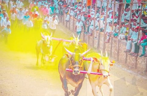 मंचर : देशमुखांचा बैलगाडा ठरला घाटाचा राजा