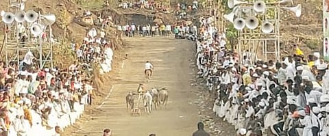 पुणे : वेताळे यात्रेतील शर्यतीत 180 बैलगाड्यांचा सहभाग