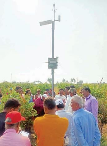 पुणे : वेदर स्टेशन यंत्राद्वारे दर्जेदार डाळिंब उत्पादन
