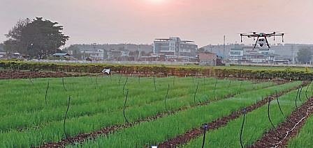 पुणे : कांदा पिकावर ड्रोनद्वारे मोफत फवारणी