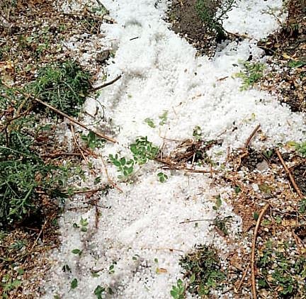 पुणे : निमगावसावा येथे गारपिटीचा तडाखा