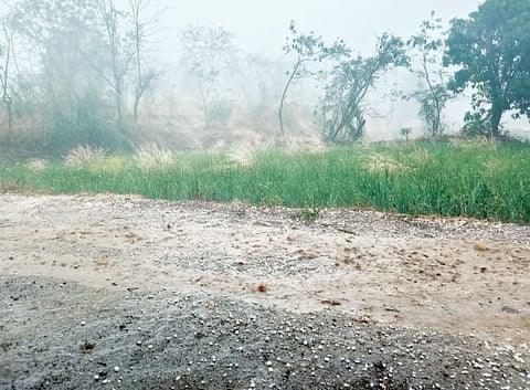 अमरापूर परिसरात गारपीट पिकांचे मोठे नुकसान,