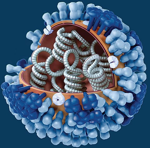 नगर : ‘एन्फ्लुएंझा’ची लक्षणे; घाबरू नका औषधोपचार घ्या