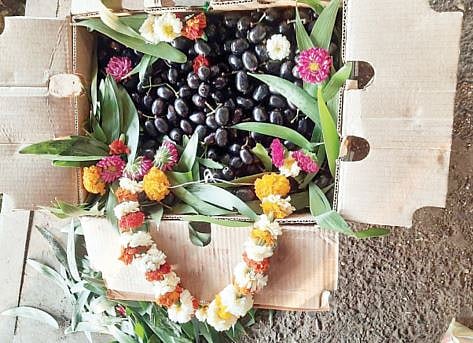 पुणे : कोकणातील जांभूळ बाजारात