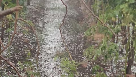 लातूर: रेणापूर तालुक्यात अवकाळी पावसाचा तडाखा; पिकांचे मोठे नुकसान