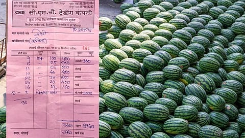 शेतकरी मेटाकुटीला! ३ टन कलिंगड विक्रीतून हाती काहीच नाही, उलट स्वत:च्या खिशातून गेले ५६० रूपये