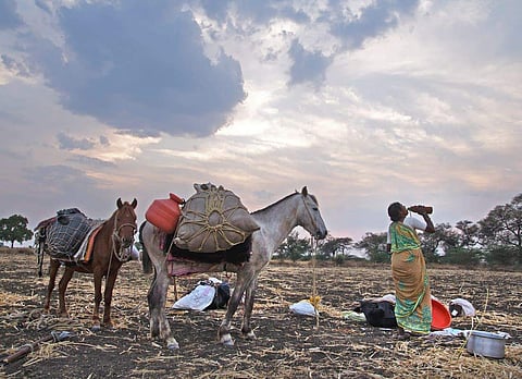तांडावस्तीची नोंद विभागाकडेच नाही ! अपुर्या निधीमुळे तांडावस्ती सुधारणेस खीळ