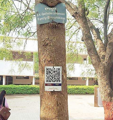 नगर : वृक्षांची ओळख क्यू आर कोडद्वारे !