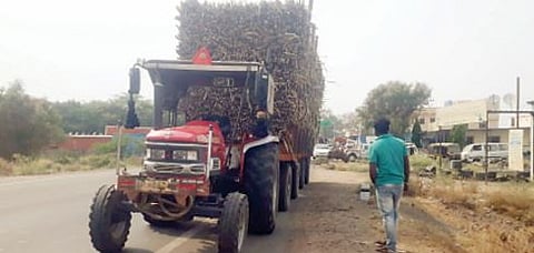 पुणे : बेशिस्त ऊस वाहतुकीवर कारवाईची मागणी