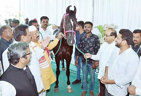 पारनेर : शिंदेंच्या ‘व्हिक्टर’चा एक्स्पोत दबदबा