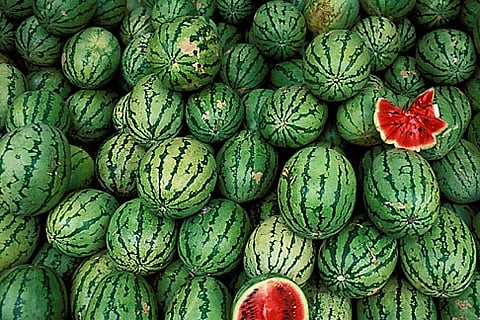 पुणे : रमजानमुळे कलिंगड, खरबूज, पपई खातेय भाव