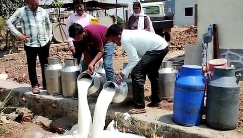 सांगली : भेसळप्रकरणी अरविंद दूध संकलन केंद्राचे गोदाम सील; अन्न व औषध प्रशासनाची कारवाई