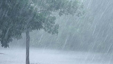 मुसळधार पाऊस