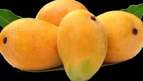 आंब्यांवर रसायन, नऊजणांना नोटीस; बेळगाव फळमार्केटमधील प्रकार