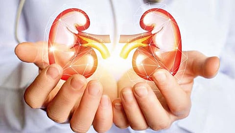कोविड रुग्णांची किडनीही प्रत्यारोपणासाठी सुरक्षितच!