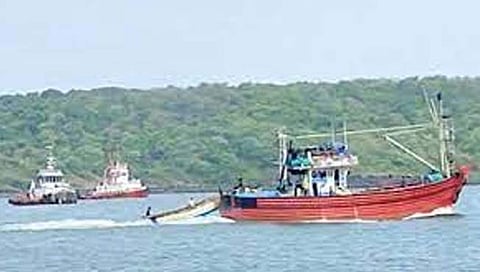 हवामानातील बदलामुळे कोकणच्या मत्स्योत्पादनात घट