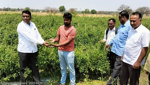 बीड : केज तालुक्याला गारपिटीचा फटका; अठरा तासानंतरही शेतात गारांचा खच
