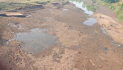 कोल्हापूर: दूधगंगा नदीचे पात्र पुन्हा कोरडे; पिके धोक्यात