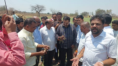 नांदगाव : शेतपिकांचे पाहणी करताना आमदार सुहास कांदे. समवेत तहसीलदार, गटविकास अधिकारी, तालुका कृषी अधिकारी, कृषी विभागाचे सर्व कर्मचारी, सरपंच वाल्मीक गायकवाड, अनिल रिंढे. (छाया: सचिन बैरागी)