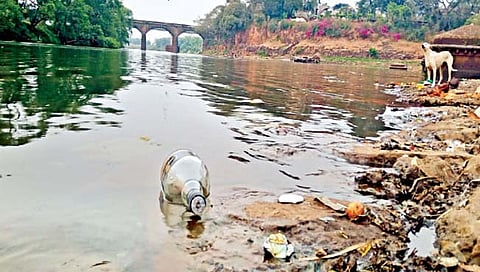 सर्वाधिक प्रदूषित नदी पात्रे महाराष्ट्रातच; पंचगंगा, गोदावरी, मिठी, भीमा, मुठा नद्यांची स्थिती खराब : प्रदूषण नियंत्रण मंडळाचा निष्कर्ष