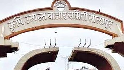 सोलापूर : तीन बाजार समित्यांवर भाजप समर्थक गटाची सत्ता