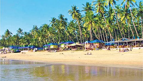 Beach Shacks : कोकणातील आठ किनार्यांवर बीच शॅक्स