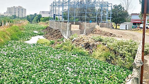 सांगली : बफरझोन धाब्यावर बसवून नाल्यालगत बांधकाम!