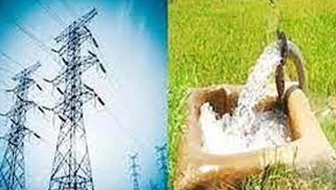 Nashik News : रात्री बिबट्या, दिवसा लोडशेडींग; विंचुरी दळवीचा शेतकरी दुहेरी संकटात