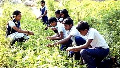 तिसरी ते बारावीच्या अभ्यासक्रमात आता कृषीचे पाठ; विद्यार्थ्यांना मिळणार शेतीचे धडे