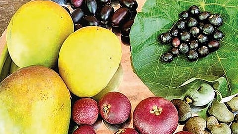 ‘हापूस’चे दर आवाक्याबाहेर!