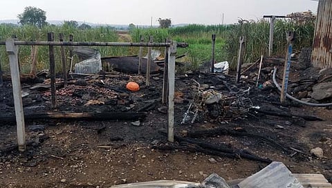 हिंगोली: आखाड्याला लागलेल्या आगीत ९ जनावरे होरपळली