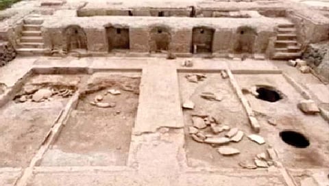 रोमन काळातील ‘वाईन फॅक्टरी’चा शोध