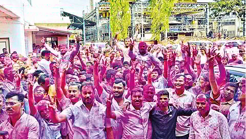 महाडिक समर्थकांचा जल्लोष