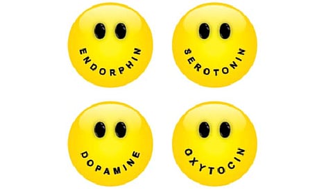 Happy Hormones म्हणजे काय ? जाणून घ्या सविस्तर