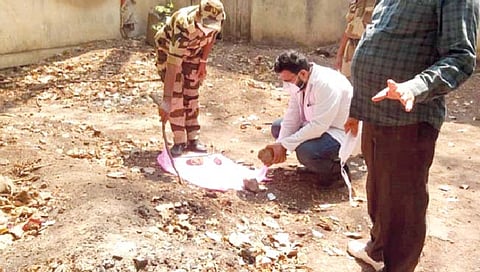 कोल्हापूर : सीपीआर रुग्णालयाच्या आवारात कुत्र्यांनी दोन अर्भकांचे लचके तोडलेल्या शवविच्छेदन कक्षाजवळील घटनास्थळाची वैद्यकीय अधिकार्यांसह पोलिस अधिकार्यांनी पाहणी केली