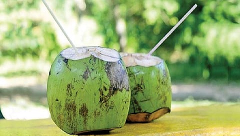 नारळपाण्याचे असे असतात लाभ