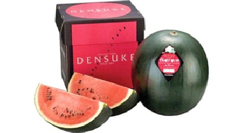 तब्बल 4.5 लाख रुपयांचे कलिंगड