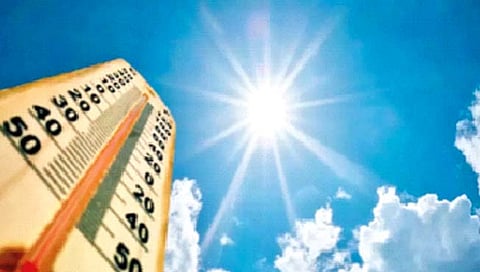 Heard Sunlight : कडक सूर्यप्रकाशामुळे विषबाधेचा धोका