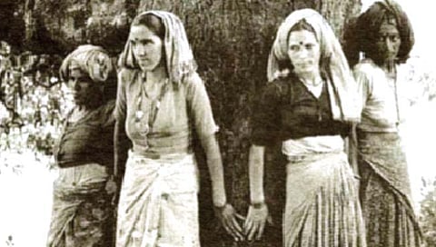 ‘चिपको’चे अर्धशतक